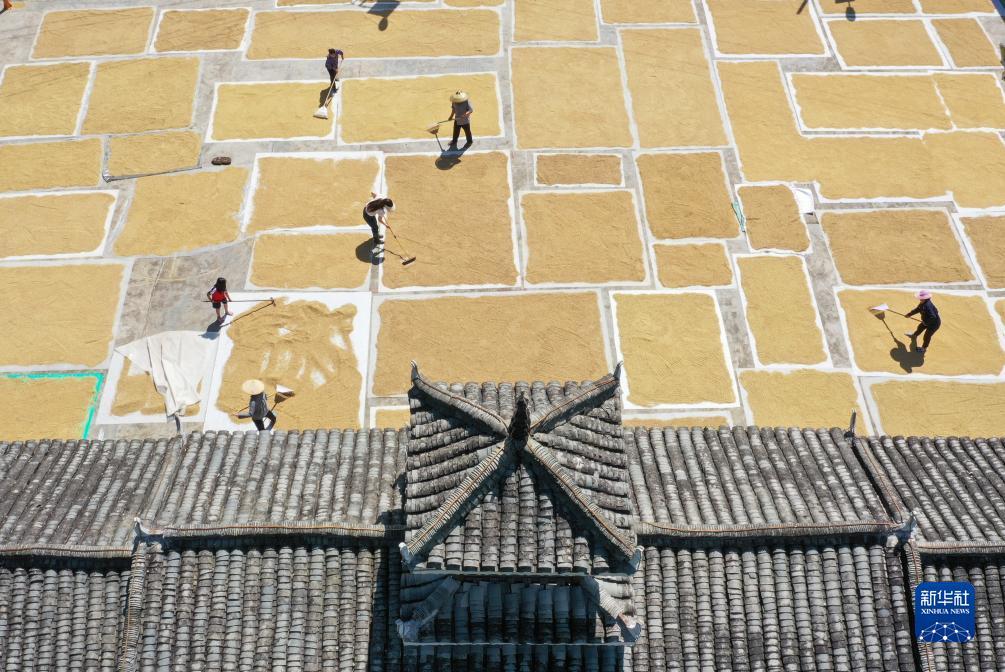 百老汇平台注册